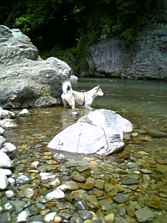 e0143442_1941431.jpg