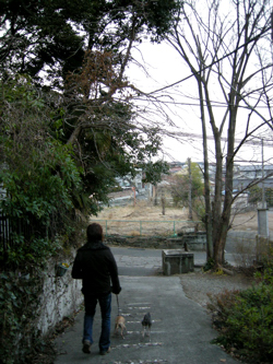 a0082146_1555111.jpg