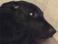 f0095047_21542234.jpg