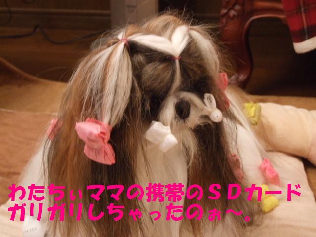 a0091448_23104587.jpg