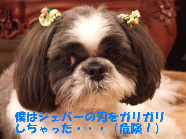 a0091448_23135582.jpg