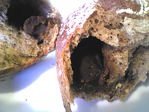 d0037951_23104224.jpg