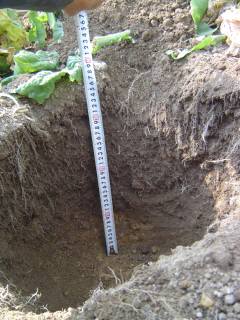 f0055264_0411867.jpg