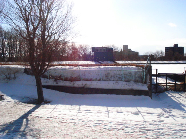 f0132565_10103916.jpg