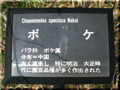 d0112968_1914564.jpg
