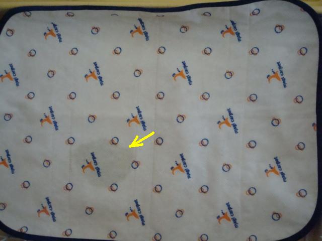 e0134873_1631257.jpg