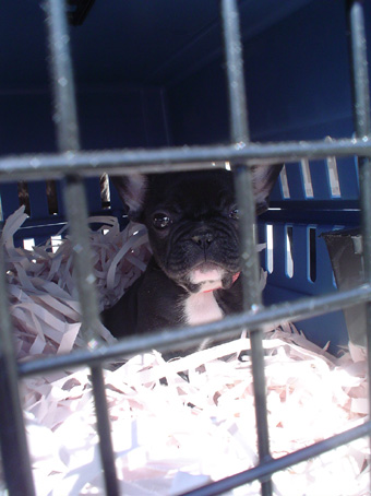 f0056476_1152412.jpg
