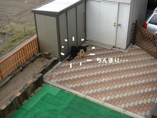d0043478_19593322.jpg