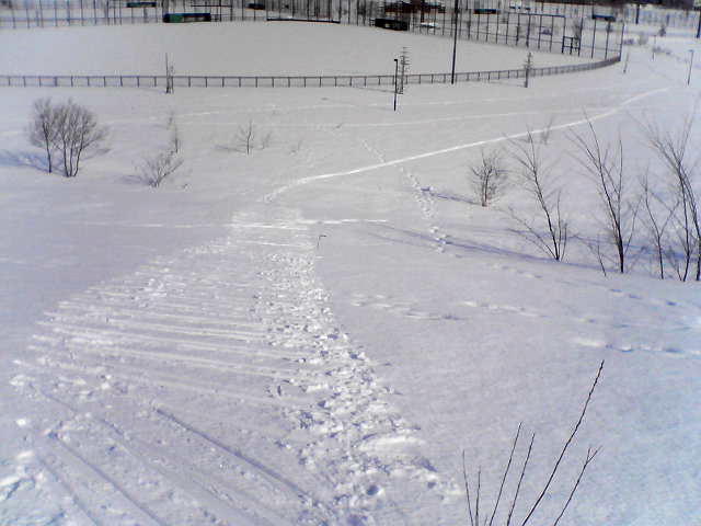 a0007388_9451277.jpg