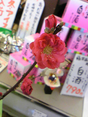 b0118191_22314523.jpg