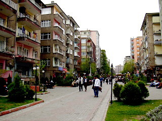 f0058691_19542994.jpg