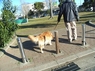 c0096393_0115695.jpg