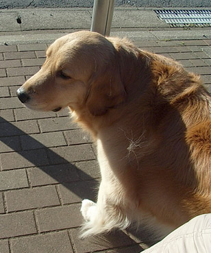 c0096393_014436.jpg