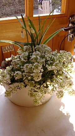 c0152002_19165267.jpg