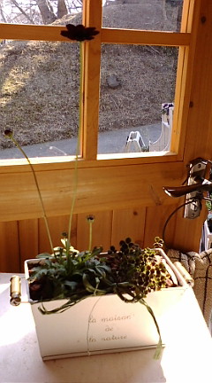 c0152002_19201173.jpg