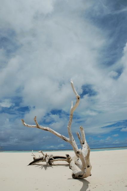 b0120510_13422544.jpg
