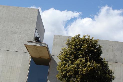 e0140412_2152583.jpg