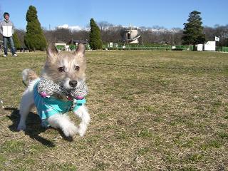 a0089120_22383417.jpg