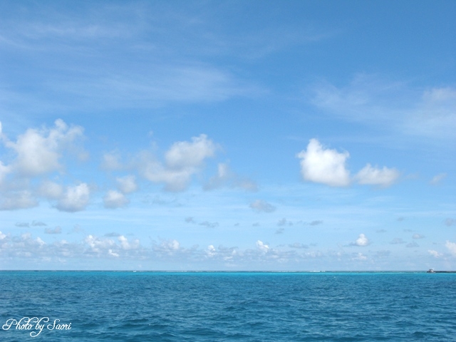 c0157624_22495756.jpg
