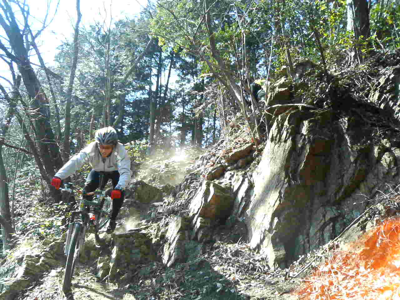 e0002927_21404770.jpg