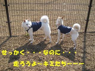 b0006329_23461083.jpg