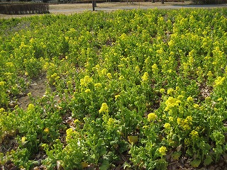 b0006329_2353190.jpg