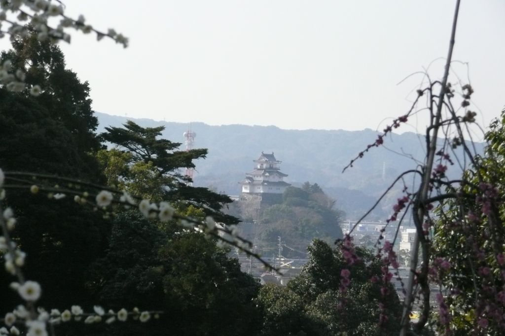 e0033229_20141726.jpg