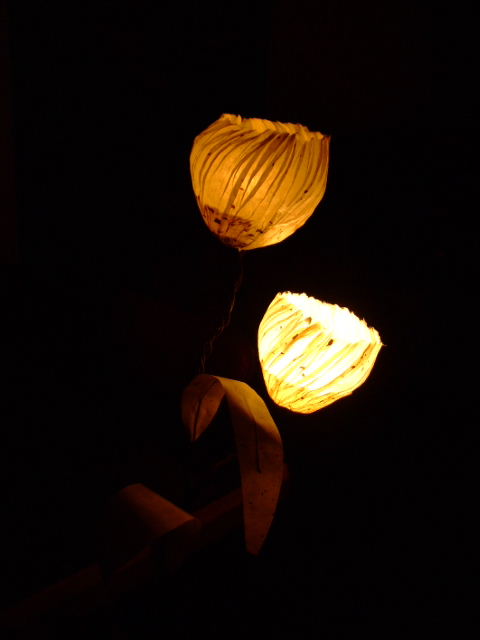 c0110930_21443139.jpg