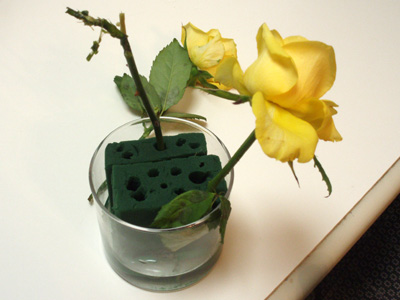c0132438_23485294.jpg