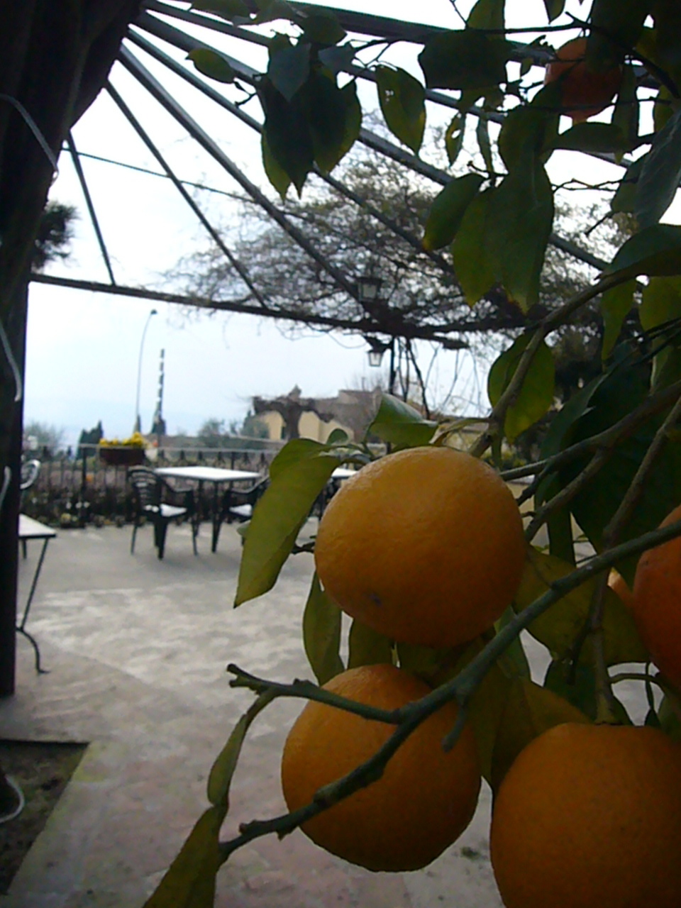 f0031138_17221247.jpg