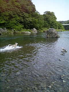 e0143442_2053583.jpg