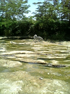 e0143442_2115764.jpg