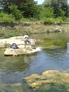 e0143442_212378.jpg