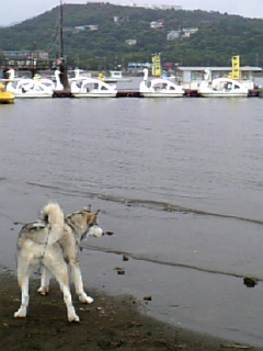 e0143442_2171984.jpg