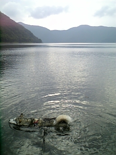e0143442_2182072.jpg