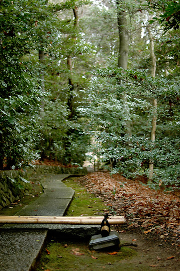 d0008146_23552656.jpg
