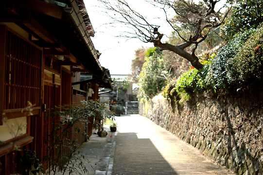 d0008146_2355985.jpg