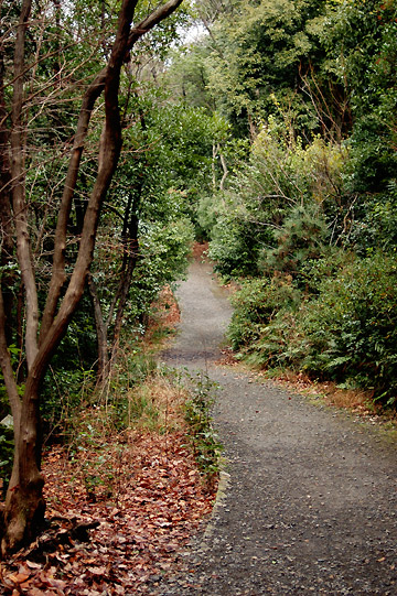 d0008146_23585060.jpg