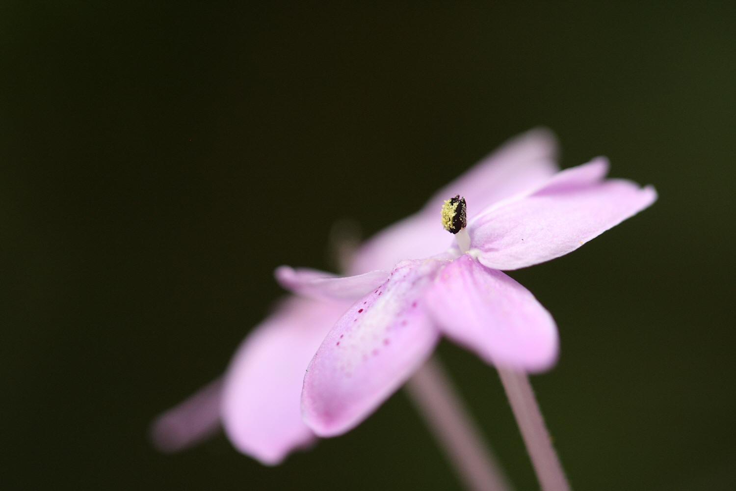 a0094850_9111788.jpg