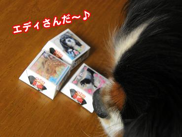 c0145250_1159577.jpg