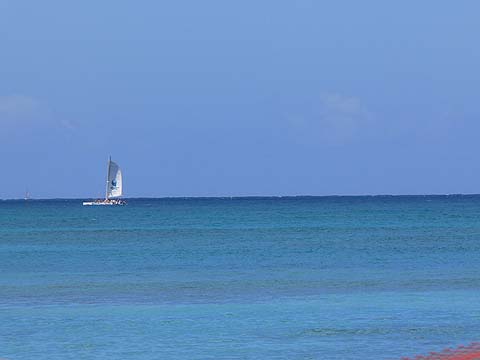 e0050753_2223261.jpg