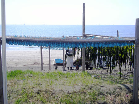 e0052268_13153169.jpg