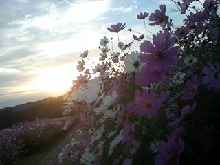 e0146178_1022116.jpg