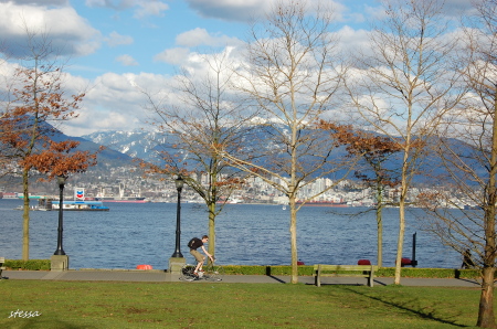 d0129786_1611651.jpg