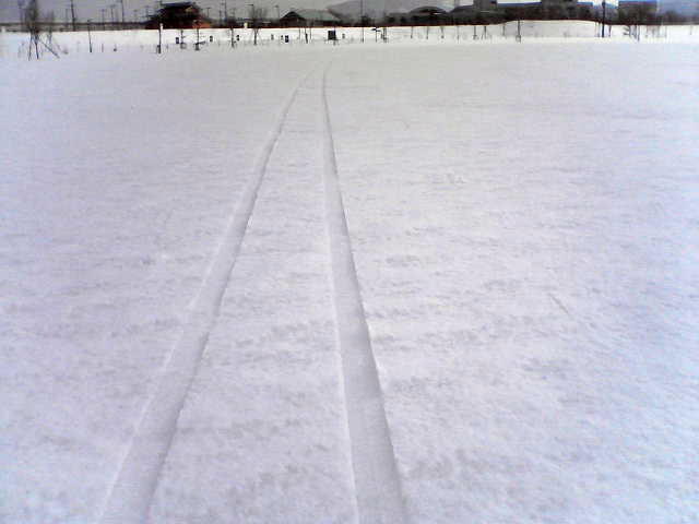 a0007388_10311711.jpg