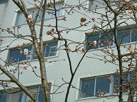 f0149988_9245226.jpg