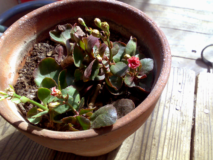 c0123189_0255215.jpg