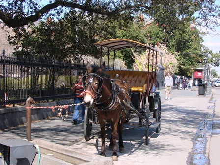 f0144493_10111853.jpg