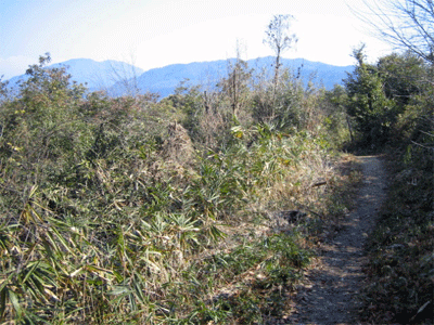 b0108100_22375076.gif