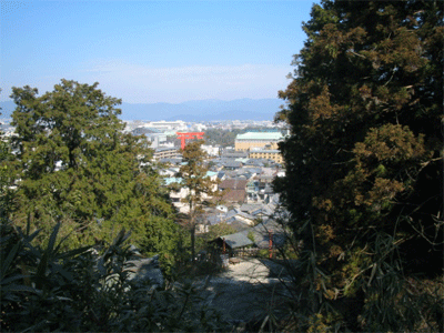 b0108100_2238843.gif